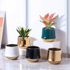 European Golden Ceramic Flower Pot Flower Arrangement Vase Container Gold Border Succulent Plant Flower Pot Home Decoration New