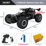 Off-Road Electric RC Car